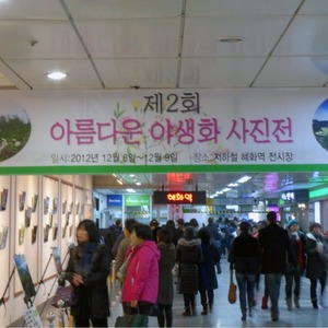 제 2회 야생화 사진전 2012년 12월 6일~9일까지 서울 혜화역(지하철) 전시관에서 80점 전시 